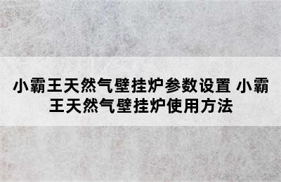 小霸王天然气壁挂炉参数设置 小霸王天然气壁挂炉使用方法